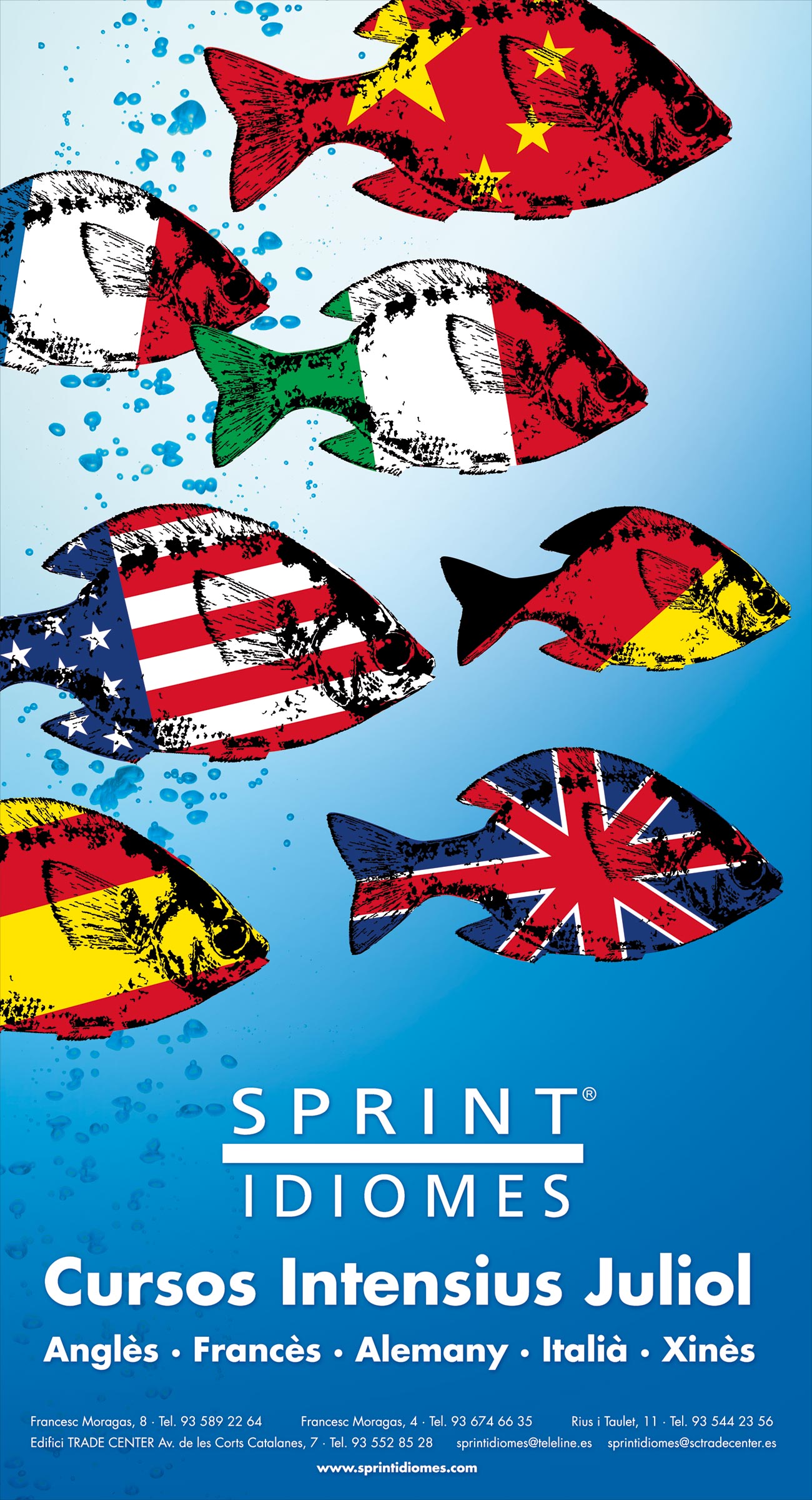 Cartel Sprint Cursos Juliol